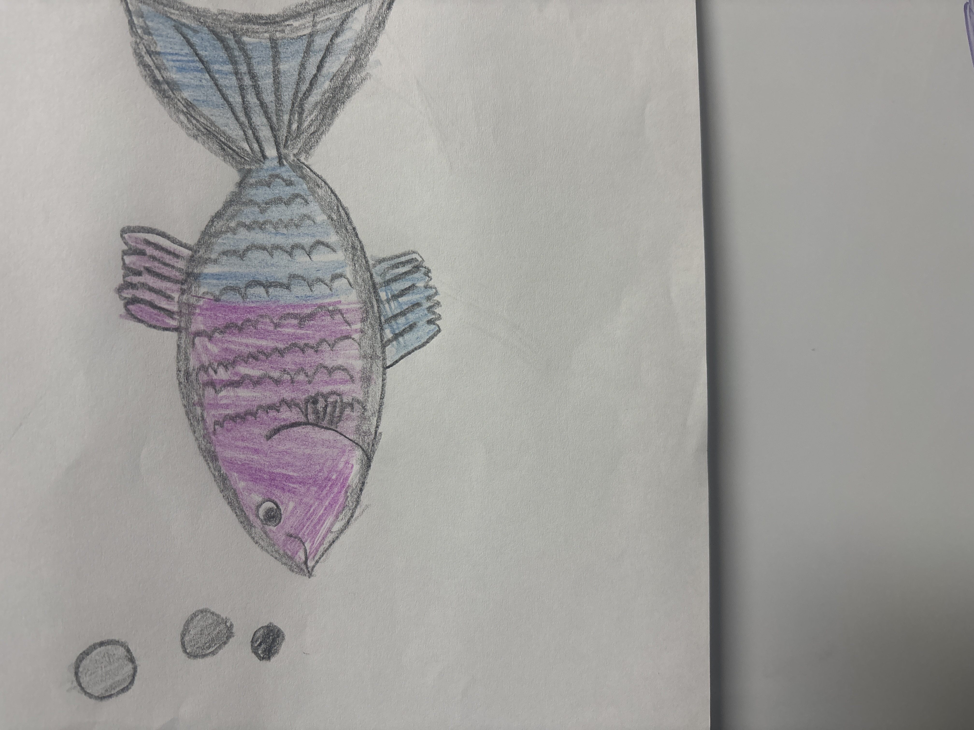 Ellie’s Fish